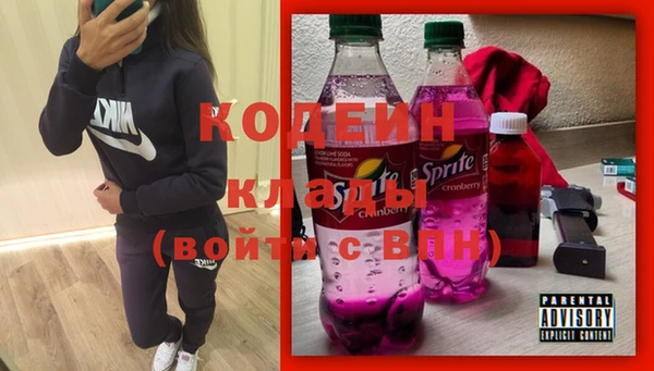 дживик Гусь-Хрустальный