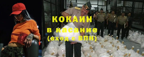 дживик Гусь-Хрустальный