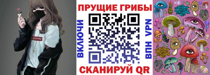 Галлюциногенные грибы мицелий  Новотроицк 